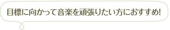 目標に向かって音楽を頑張りたい方におすすめ!